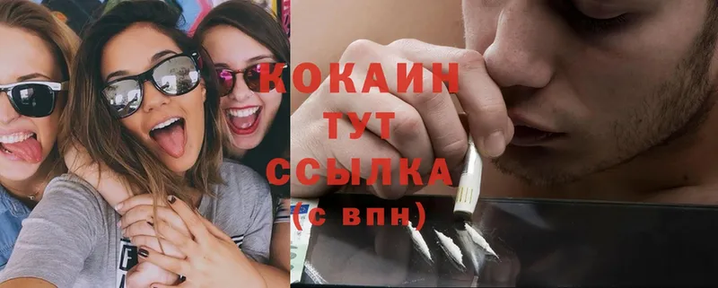 COCAIN Columbia Дно